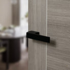 Tupai Rapido RetaLine Panela Lever Door Handle on Long Rose