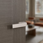 Tupai Rapido RetaLine Panela Lever Door Handle on Long Rose