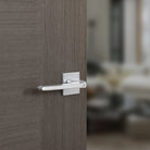 Tupai Rapido 5S Line Canha Lever Door Handle on 5mm Slimline Square Rose