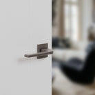 Tupai Rapido 5S Line Canha Lever Door Handle on 5mm Slimline Square Rose