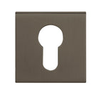 Tupai Rapido Curva/QuadraLine Euro Escutcheons on Square Rose - Titanium